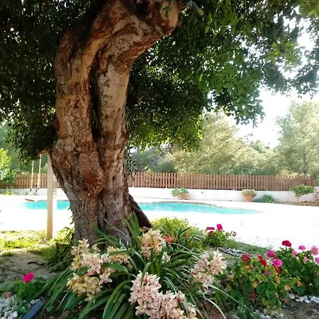 Ferienhaus Casa Mariseta Y Tonet, Naturaleza A 2 Km Del Mar